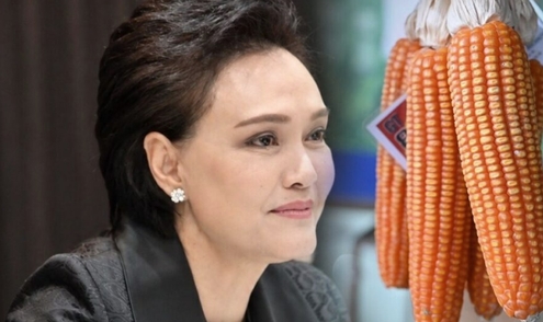 泰國延長飼料玉米收購價措施　蘇帕吉令8月底前重審成本