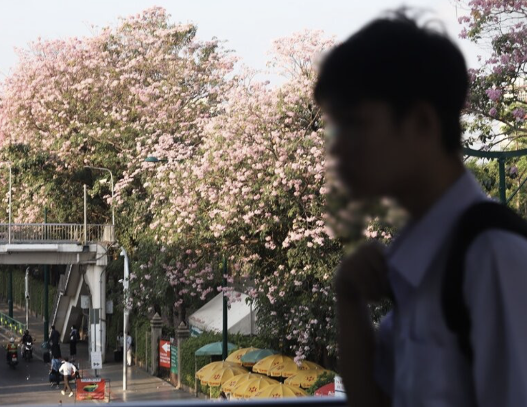 低利率低通膨高債　泰經濟恐淪日本化