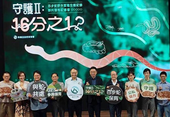 林保署3年內2度直擊百步蛇野外繁殖　新影片10月國際發表
