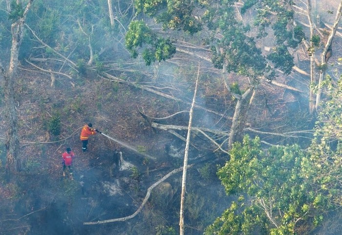 印尼野火霾害140萬學生被迫遠距上課　星馬菲受拖累
